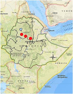 Gender Specific Differences of Smallholder Farm Households Perspective of Food-Energy-Land Nexus Frameworks in Ethiopia